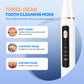 Ultrasonic Dental Cleaner
